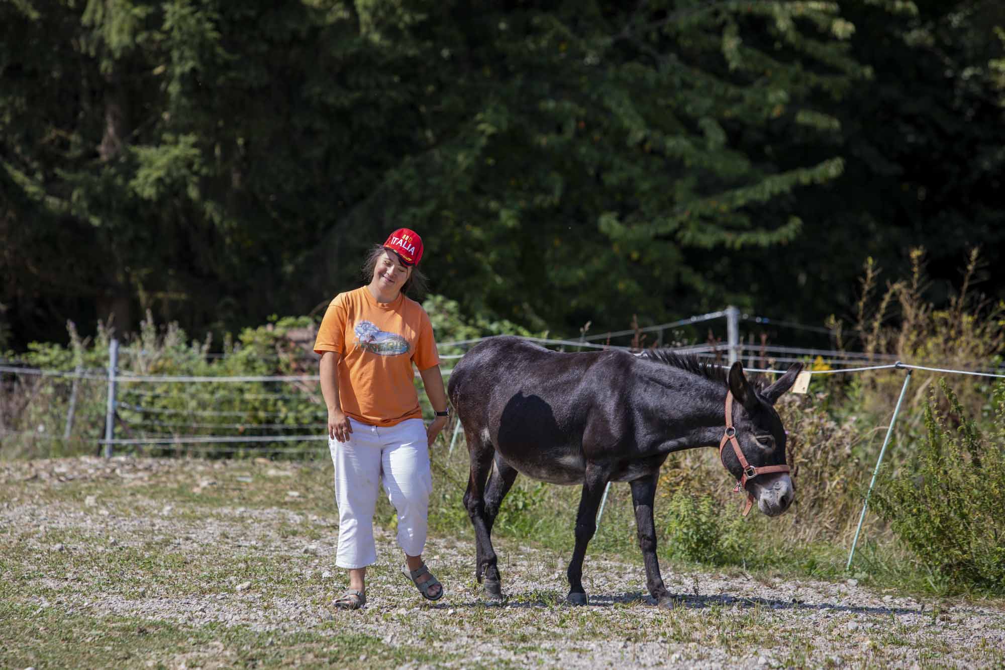 wertvollesschaffen_oesterreich_14