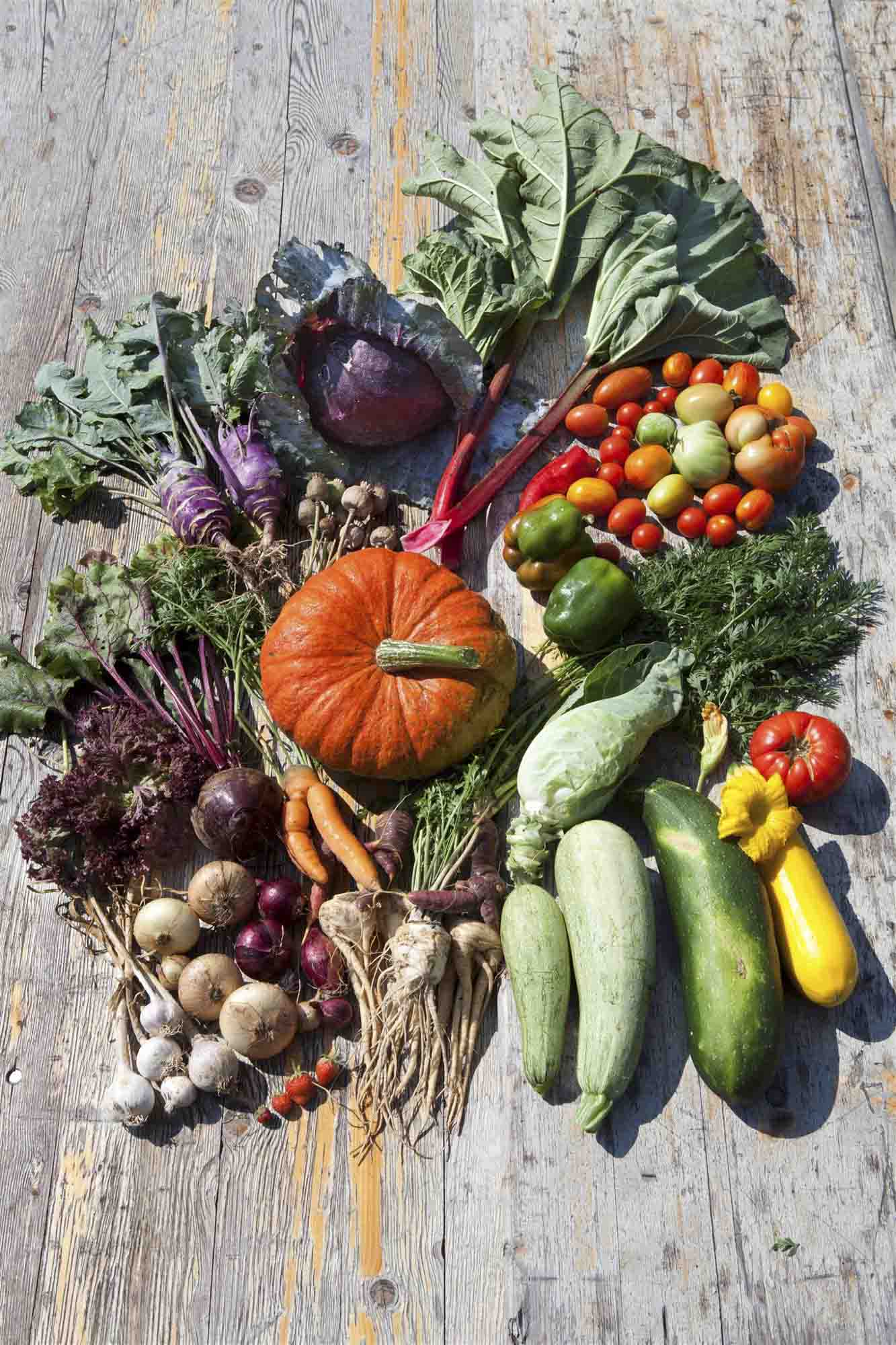 wertvollesschaffen_oesterreich