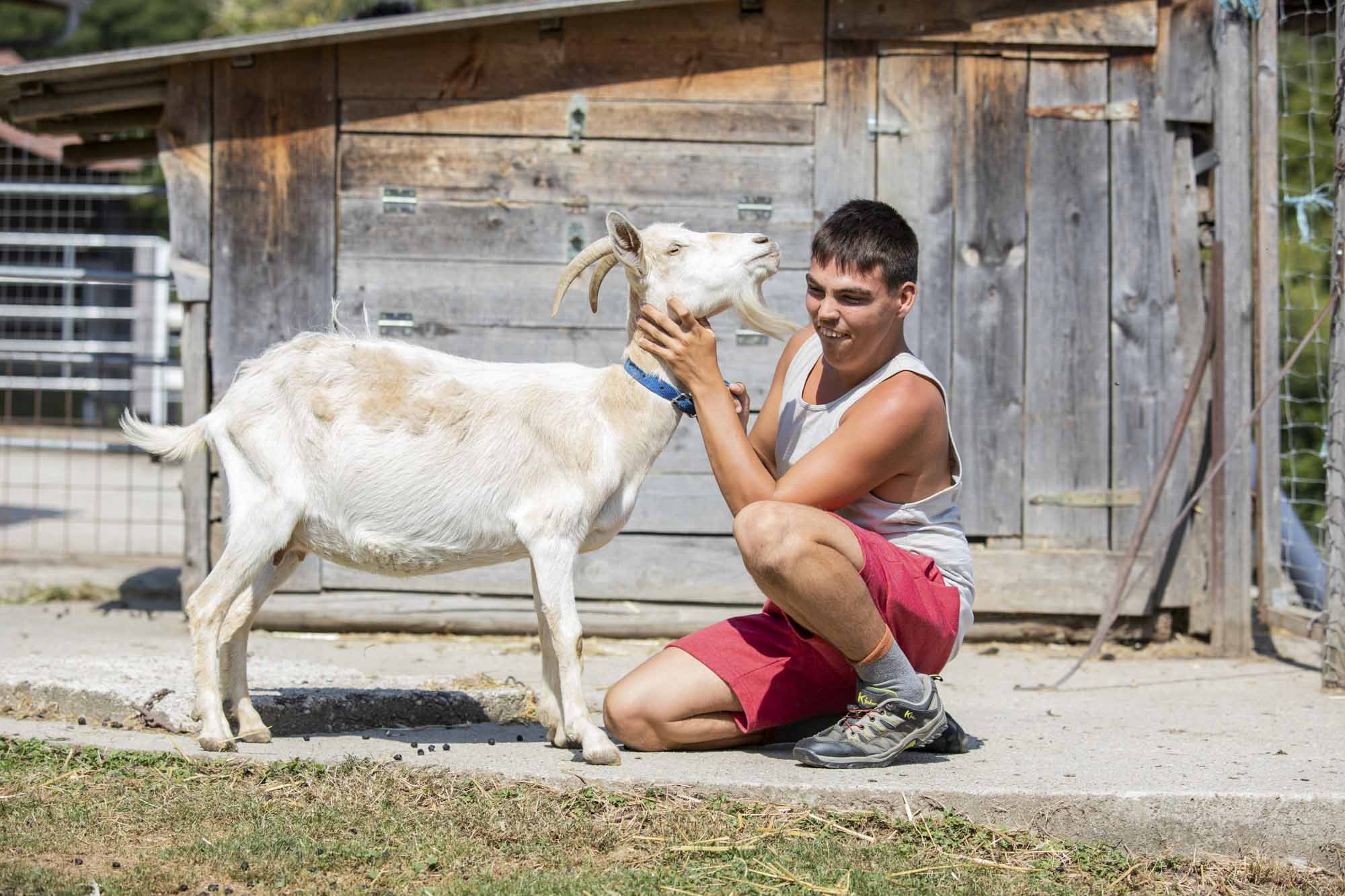 wertvollesschaffen_oesterreich_9